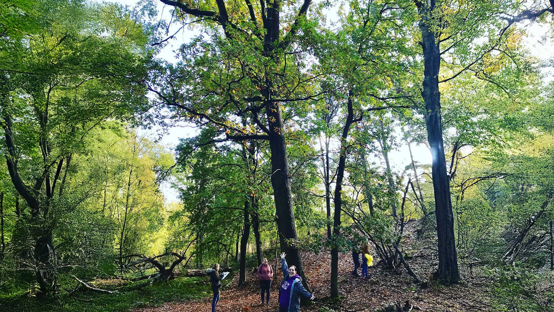 Storytelling teamwandeling