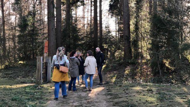 Mindful teamwandeling