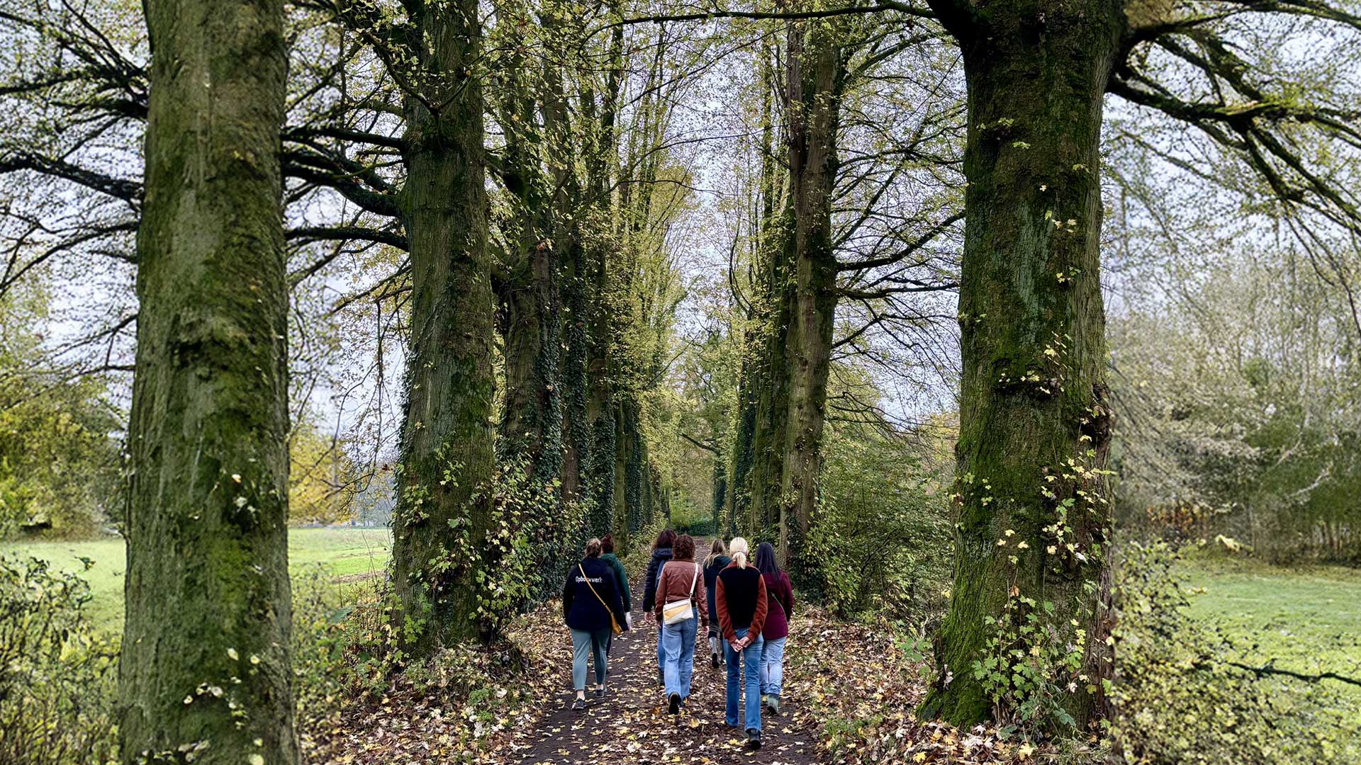 Nature Fix – de groepswandeling