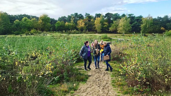 Teamwandeling – oogst jullie successen