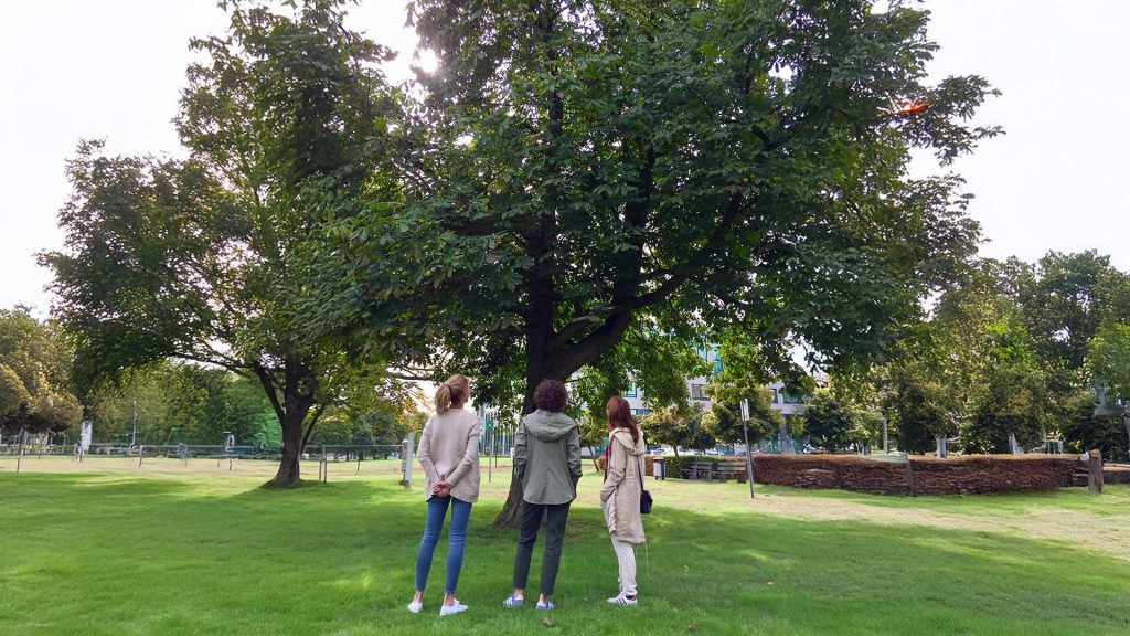 Teamontwikkeling: coached Leidinggeven door Bureau Boslucht